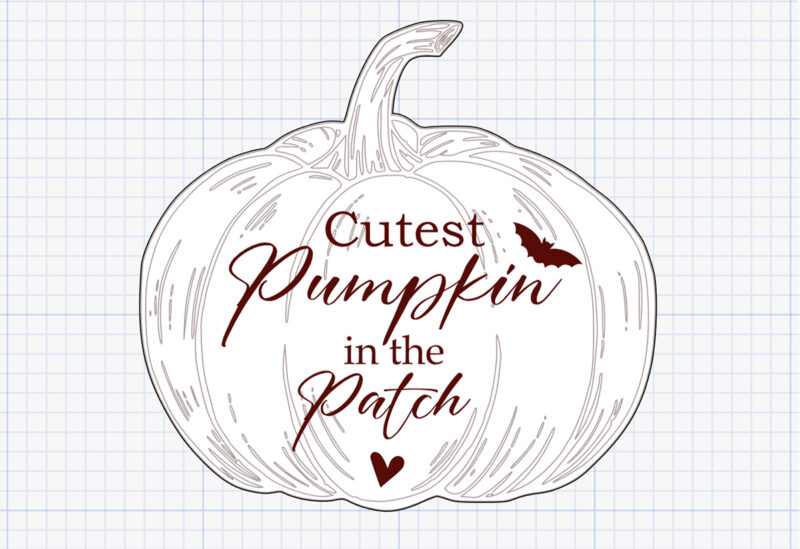 cutest pumpkin in the patch